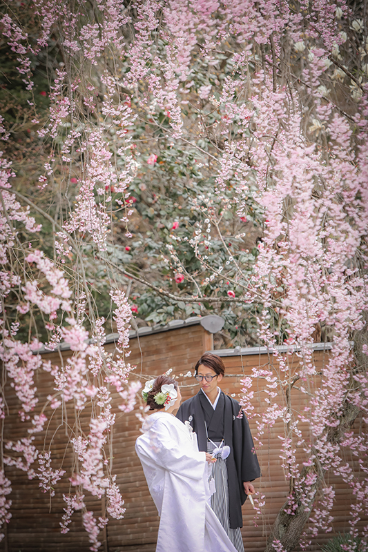 和装桜諏訪結婚写真