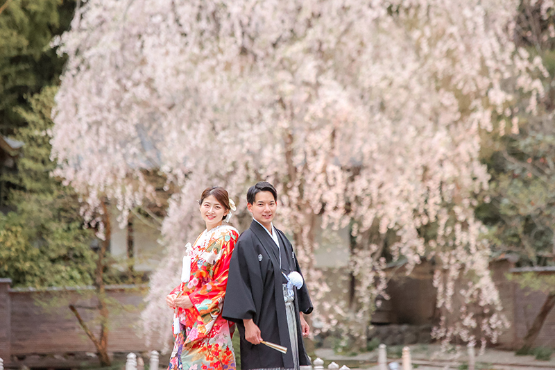 桜前撮り和装フォト 結婚写真