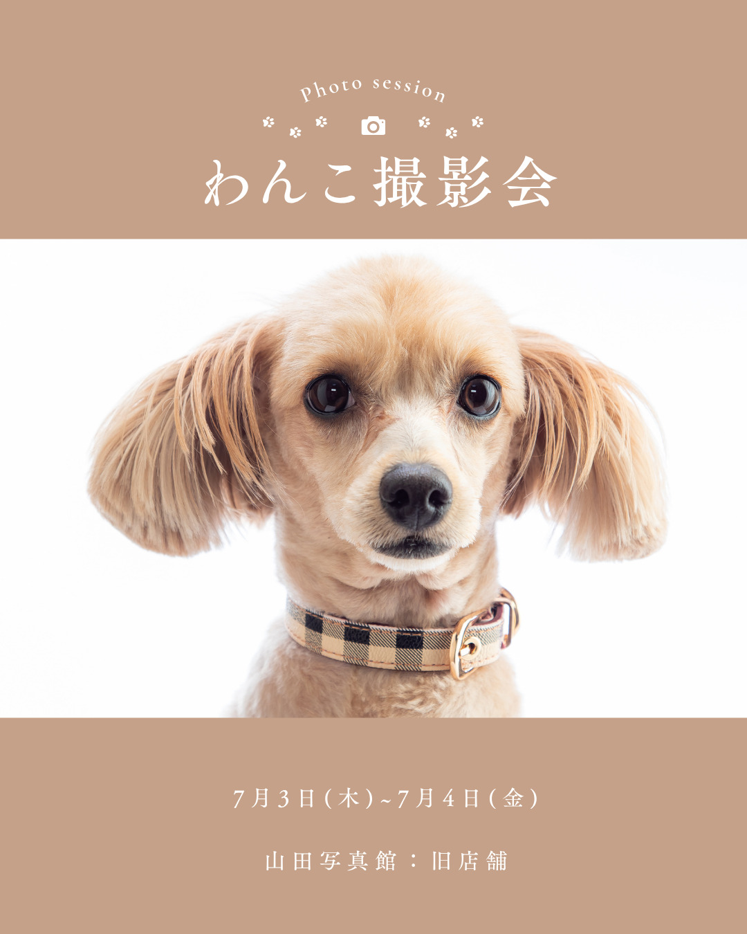 岡谷ペット撮影