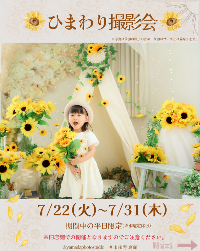 ひまわり撮影会
