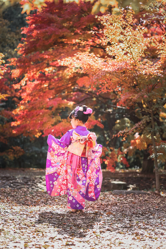 紅葉　ロケーション撮影
