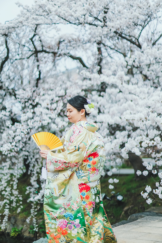 松本城　桜　フォトウェディング