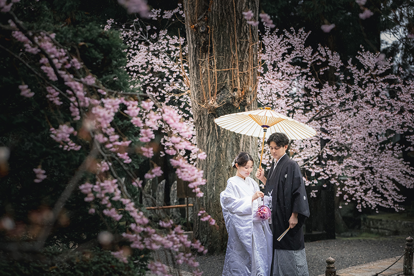 岡谷　桜　フォトウェディング