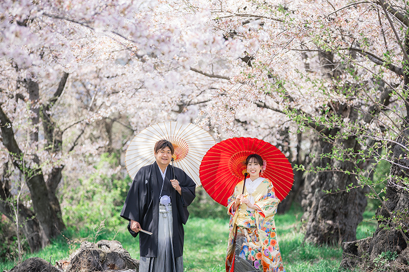 横河川桜ロケ