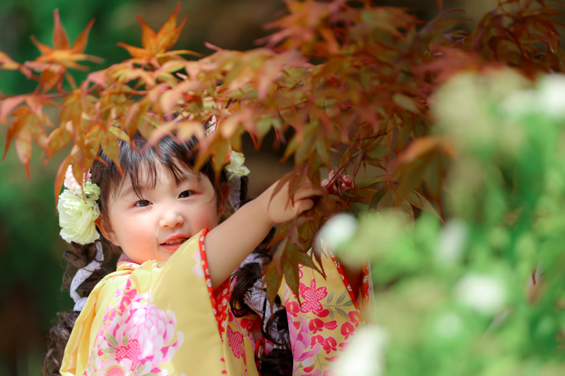 3歳七五三スタジオ庭園前撮